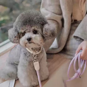 Why Your Pet Deserves the Best: The Leather Pet Collar With Matching Walking Leash